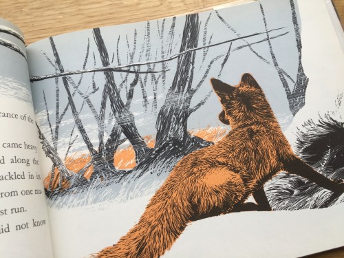 The Fox and the Fire, Schoenherr