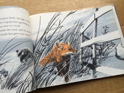 The Fox and the Fire, Schoenherr