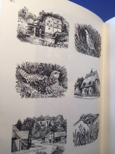 Lynton Lamb, Illustrator