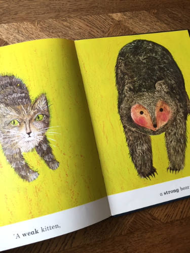 What the Moon Saw, Brian Wildsmith