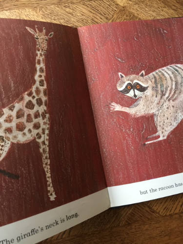 What the Moon Saw, Brian Wildsmith