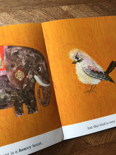 What the Moon Saw, Brian Wildsmith